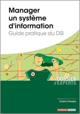 Manager un système d'information - Guide pratique du DSI