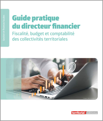 Guide pratique du directeur financier