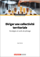 Diriger une collectivité territoriale