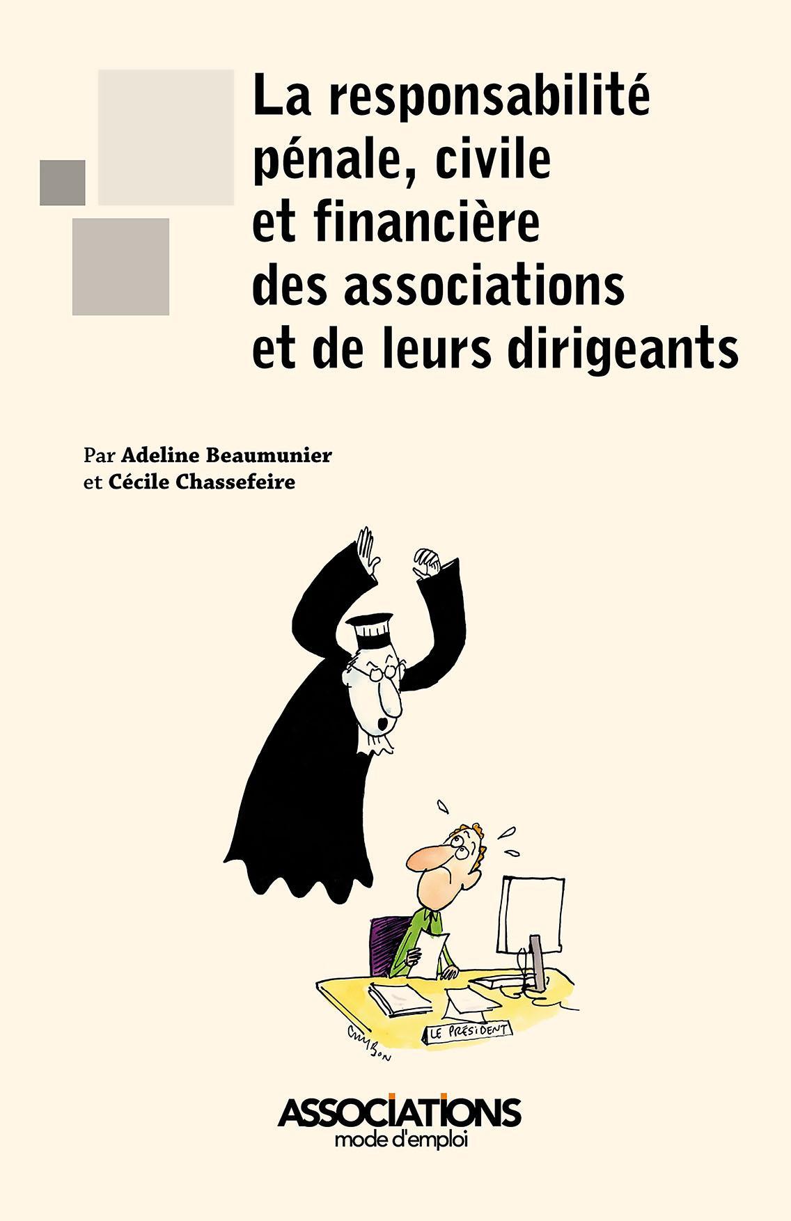 La responsabilité pénale, civile et financière des associations et de ...